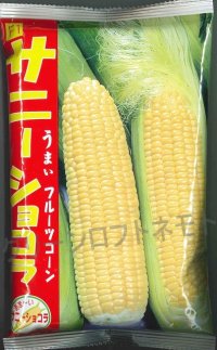 [とうもろこし]　サニーショコラ　2000粒　ヴィルモランみかど