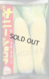 [とうもろこし]　サニーショコラ　2000粒　ヴィルモランみかど（株）