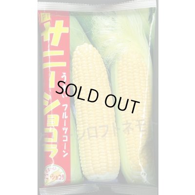 画像1: [とうもろこし]　サニーショコラ　2000粒　ヴィルモランみかど（株）