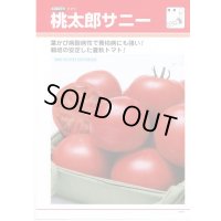 送料無料　[トマト/桃太郎系]　桃太郎　サニー　1000粒　	2L　ペレット種子　タキイ種苗(株)