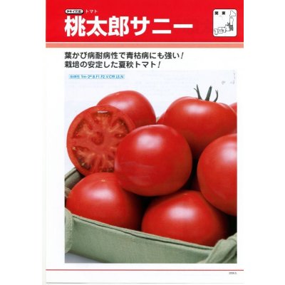 画像1: [トマト/桃太郎系]　送料無料！　桃太郎　サニー　1000粒 	2L ペレット種子　タキイ種苗（株）