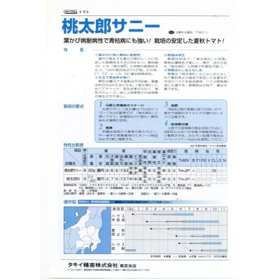 画像2: [トマト/桃太郎系]　送料無料！　桃太郎　サニー　1000粒 	2L ペレット種子　タキイ種苗（株）