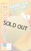送料無料　[メロン]　サンライズ　6粒　ナント種苗(株)