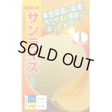 送料無料　[メロン]　サンライズ　6粒　ナント種苗(株)