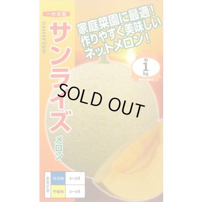 画像1: 送料無料　[メロン]　サンライズ　6粒　ナント種苗(株)
