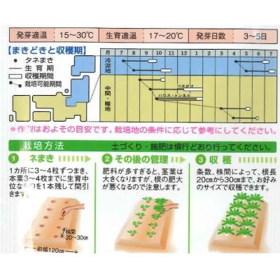 画像3: [大根]　三太郎　2dl　タキイ種苗（株）