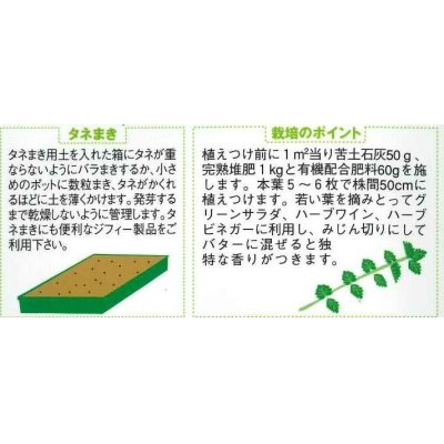 画像2: [ハーブの種]　サラダバーネット　約60粒　　サカタのタネ　実咲