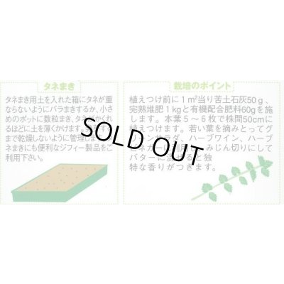 画像2: [ハーブの種] サラダバーネット 約60粒 (株)サカタのタネ 実咲250(003188)