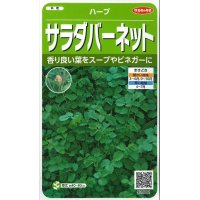 [ハーブの種]　サラダバーネット　約60粒　　サカタのタネ　実咲