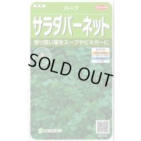 送料無料　[ハーブの種]　サラダバーネット　約60粒　(株)サカタのタネ　実咲（003188）