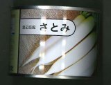 大根　さとみ大根　2dl　渡辺農事（株）
