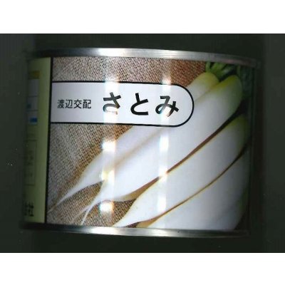 画像1: 大根　さとみ大根　2dl　渡辺農事（株）