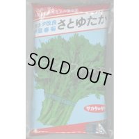 [春菊]　中葉春菊　さとゆたか　1L　（株）サカタのタネ