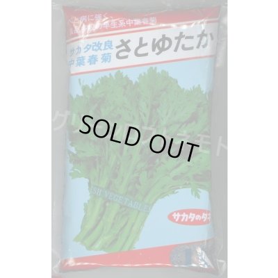 画像1: [春菊] 中葉春菊 さとゆたか 1L （株）サカタのタネ