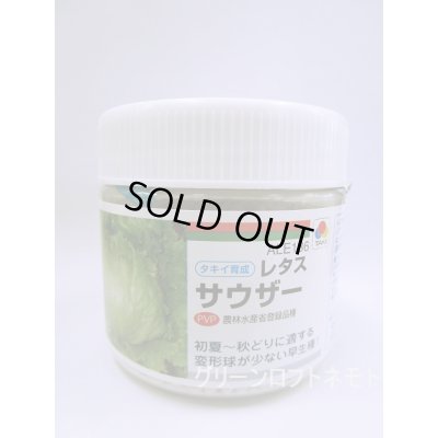 画像1: [レタス] サウザー ペレット種子　 L 5千粒 タキイ種苗(株)