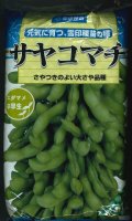 [枝豆]　サヤコマチ　1L　雪印種苗(株)