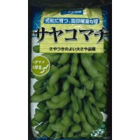 [枝豆]　サヤコマチ  　1L　雪印種苗（株）