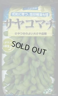 [枝豆]　サヤコマチ　1L　雪印種苗(株)