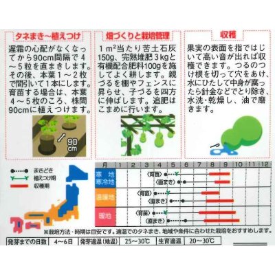 画像2: [その他]　千成ひょうたん　約40粒  （株）サカタのタネ　実咲200