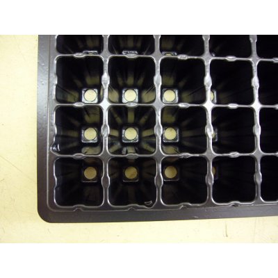 画像3: 接木・生産資材　プラグトレイ手植え用　1枚