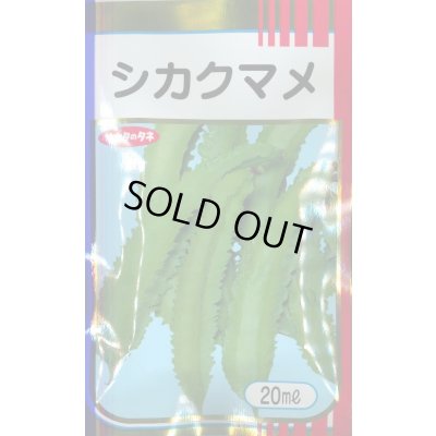 画像2: 送料無料　[豆類]　シカクマメ　約20粒　(株)サカタのタネ　実咲350（003127）
