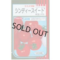 送料無料 [トマト/中玉トマト] シンディースイート 1000粒 (株)サカタのタネ