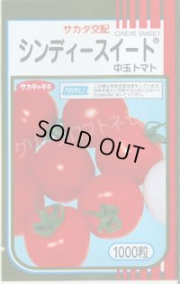送料無料 [トマト/中玉トマト] シンディースイート 1000粒 (株)サカタのタネ
