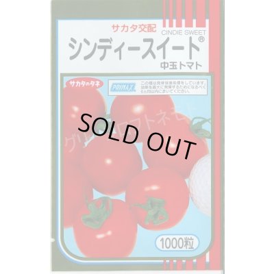 画像1: 送料無料 [トマト/中玉トマト] シンディースイート 1000粒 (株)サカタのタネ