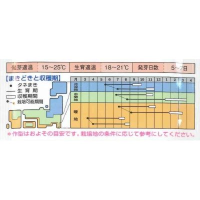 画像3: [人参]　新黒田五寸 　2dl　タキイ種苗