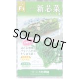 送料無料　[葉物]　新芯菜　5ml(およそ900粒)　(株)大和農園