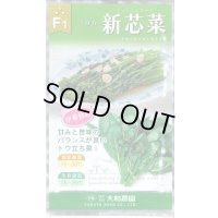 送料無料　[葉物]　新芯菜　5ml(およそ900粒)　(株)大和農園