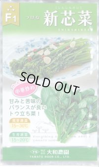 送料無料　[葉物]　新芯菜　5ml(およそ900粒)　(株)大和農園