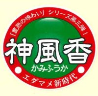 送料無料！青果シール　　神風香　1000枚   雪印種苗（株）