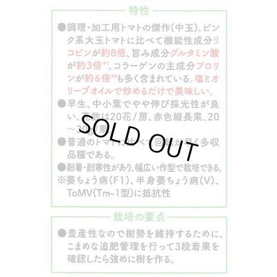 画像4: 送料無料　[トマト/マウロの地中海トマト]　シシリアンルージュ　100粒　サナテックシード（株）