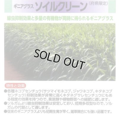 画像3: [緑肥]　ソイルクリーン　1kg　雪印種苗(株)
