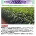 画像3: [緑肥]　ソイルクリーン　1ｋｇ　雪印種苗（株）