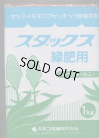 [緑肥]　ソルガム　スダックス緑肥用(イネ科)　1kg　カネコ種苗(株)