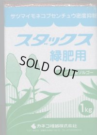 [緑肥]　ソルガム　スダックス緑肥用（イネ科）　1ｋｇ　カネコ種苗(株）