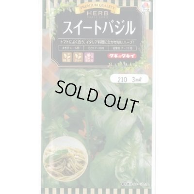 画像1: 送料無料　[ハーブの種]　スイートバジル　3ml　タキイのタネ