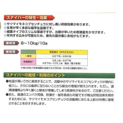 画像3: [緑肥]　エンバク　スナイパー　1kg　雪印種苗(株)