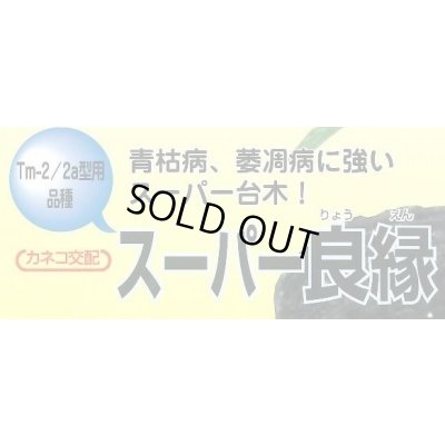 画像2: 送料無料　[台木/トマト用]　スーパー良縁　1000粒　カネコ種苗（株）