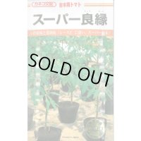 送料無料　[台木/トマト用]　スーパー良縁　1000粒　カネコ種苗（株）