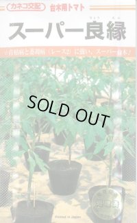 送料無料　[台木/トマト用]　スーパー良縁　1000粒　カネコ種苗（株）