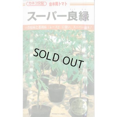 画像1: 送料無料　[台木/トマト用]　スーパー良縁　1000粒　カネコ種苗（株）