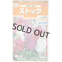 花の種　ストック　分枝系混合　　約22粒　サカタのタネ（株）実咲200