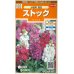 画像1: 花の種　ストック　分枝系混合　　約22粒　サカタのタネ（株）実咲200 (1)