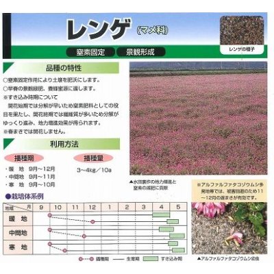 画像2: [緑肥]　レンゲ　1kg　カネコ種苗(株)