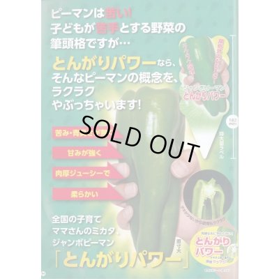 画像3: 送料無料　[ピーマン]　とんがりパワー　20粒　ナント種苗(株)