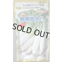 送料無料 [大根] 耐病総太り 2dl タキイ種苗(株)