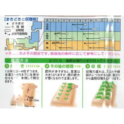 画像2: [大根]　耐病総太り　2dl　タキイ種苗（株）